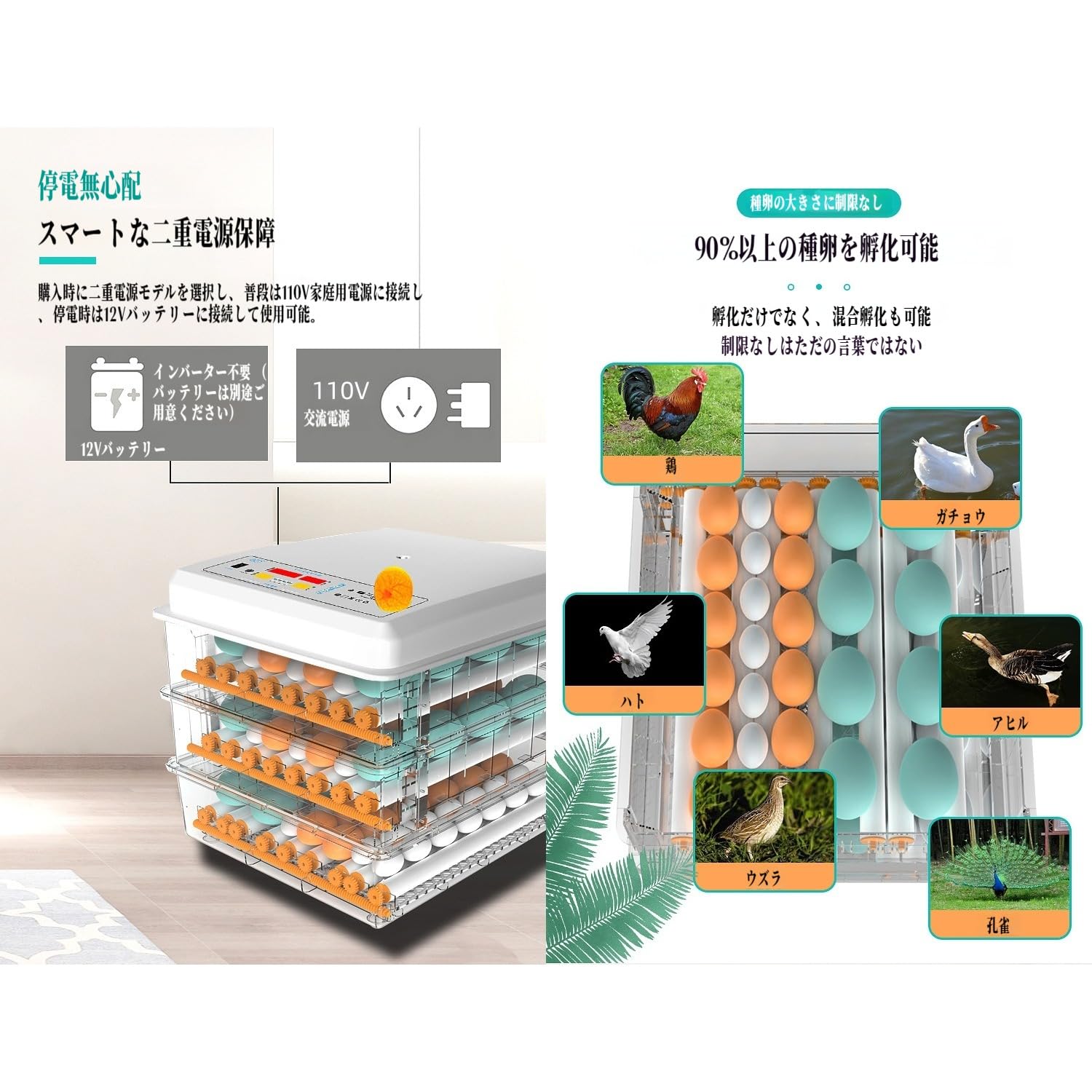 Amazon.co.jp: OXIZER 孵卵器 自動転卵 小型家庭用 インキュベーター
