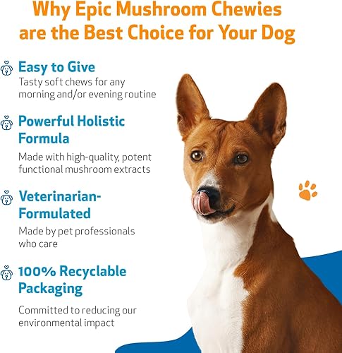 Miniatura 4 de Pet Wellbeing Epic - Masticables de hongos para perros, formulados por veterinarios, apoyo inmunológico, salud cognitiva, apoyo adaptogénico para el