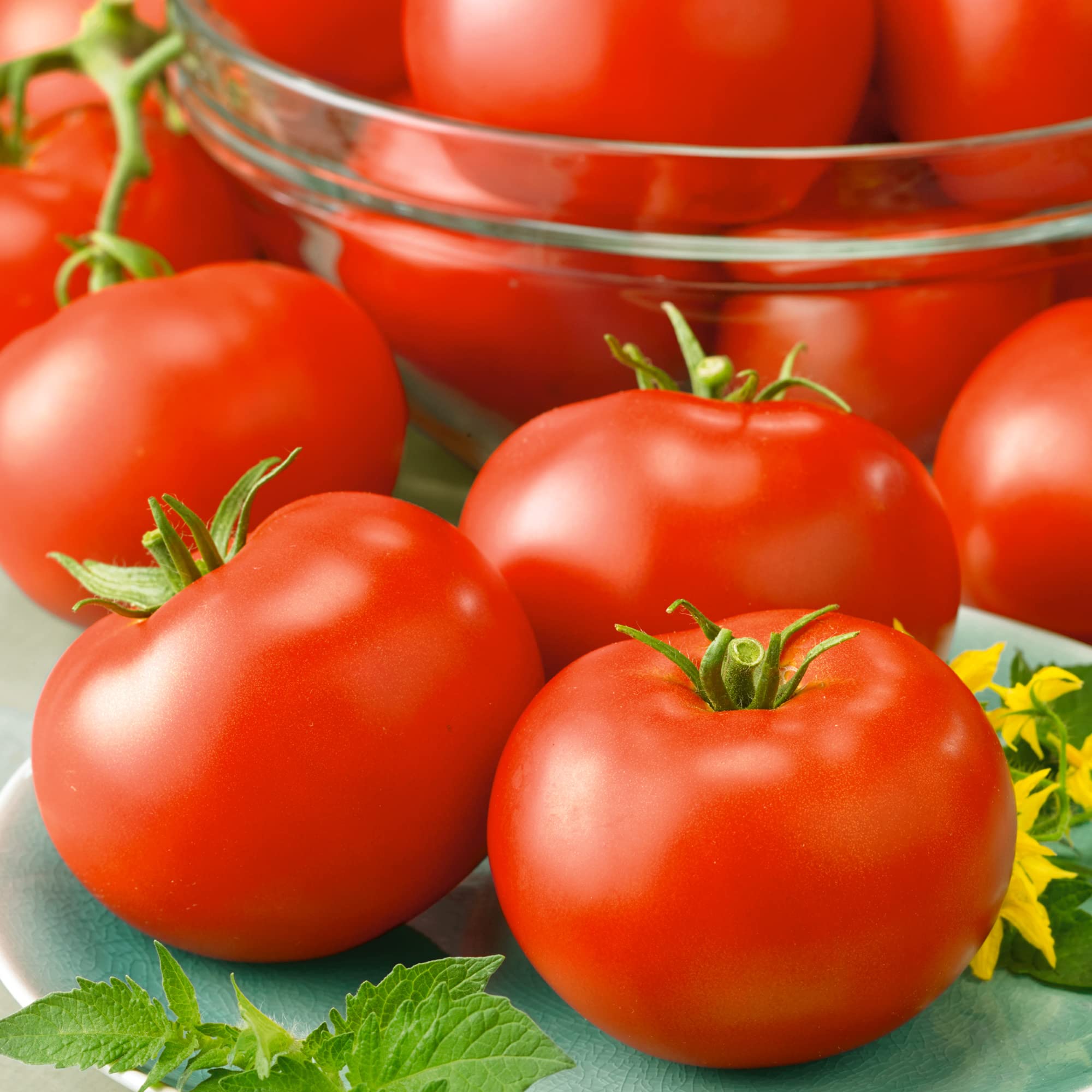 Amazon.com : Red Horizon Tomato Seeds - 0.25 Oz ~1700 Seeds