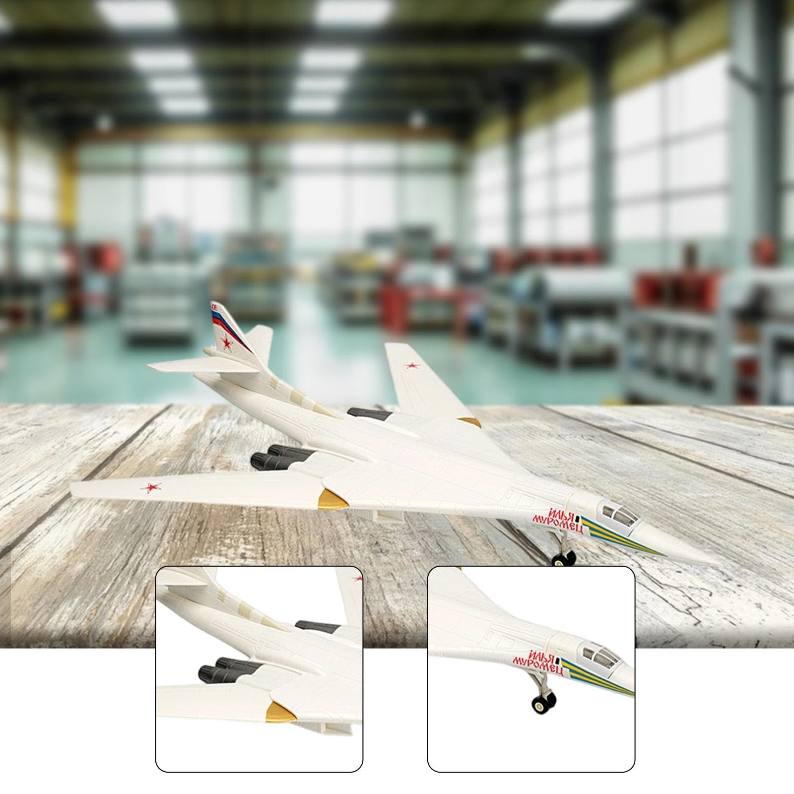 Amazon.co.jp: ZYIHNIRB 1:100 ロシア TU-160 爆撃機 モデル航空機