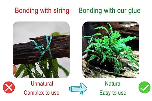 Miniatura 6 de Pegamento de acuario para pecera, 2 plantas de agua seguras y de secado rápido para corales, musgo, piedra, madera, plantas, no tóxico, agua salada
