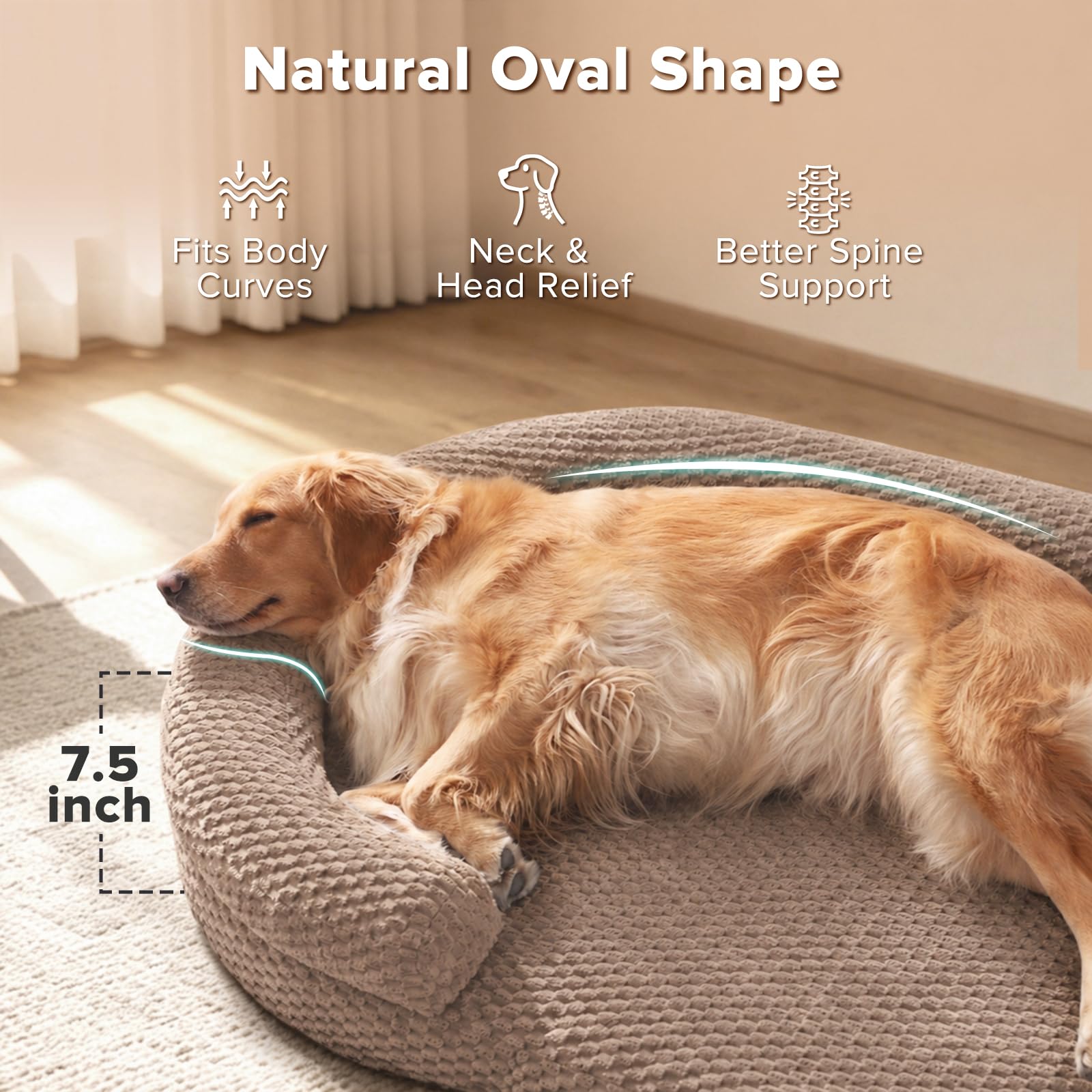 Amazon | JOEJOY 整形外科用特大犬用ベッド、XXL 洗濯可能 防水 犬用