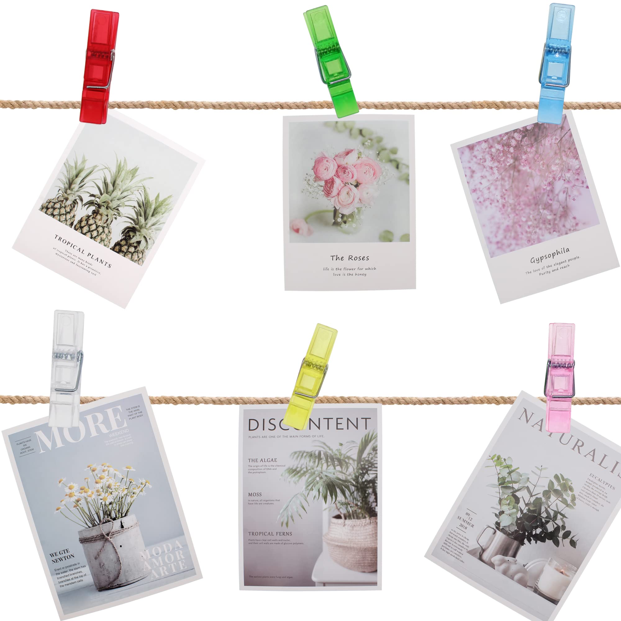 OKVGO 100pcs Small Plastics Mini Clear Pegs for Hanging Tiny Photos, Clothes Arts and Crafts Weddings Party Clip Multicoloured Transparent (White)