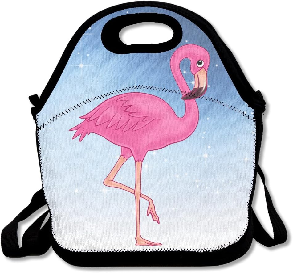 Xiisxin Pink Flamingo Lunch Tote Bag - Large & Thick Insulated Tote - Suit For Men Women Kids