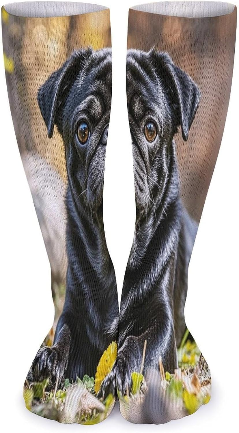 Cute Black Pug Dog Crew Socks Cozy Casual Calf Socks Lightweight Long Work Sock Breathable Athletic Sock for Hiking Sports Running 5 Pairs
