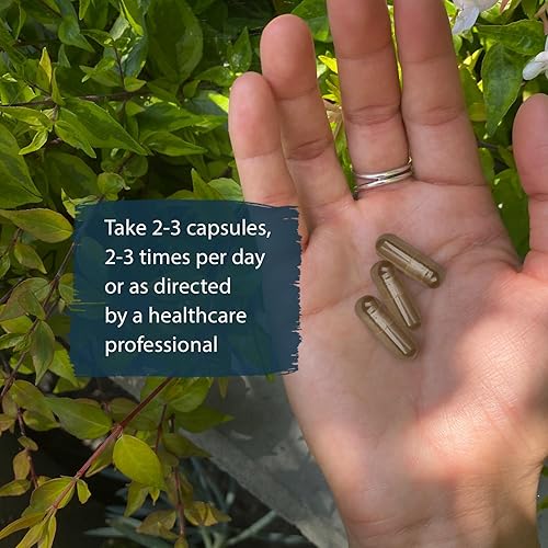 Miniatura 4 de Dragon Herbs He Shou Wu - Suplemento preparado para apoyar la energía, el estado de ánimo, el apoyo inmunológico, el envejecimiento saludable, el