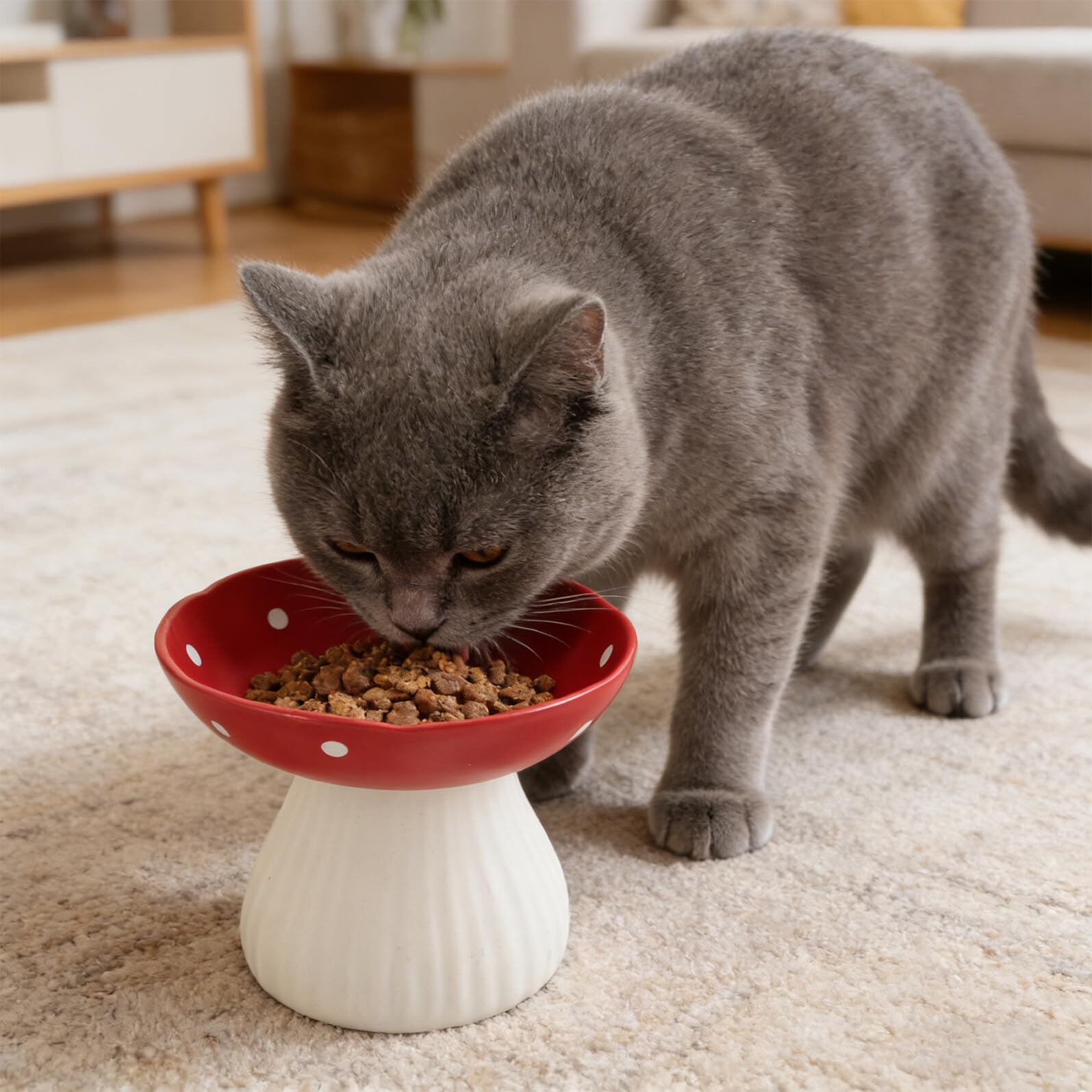 Ciotola Rialzata in Ceramica per Gatti e Cani Piccoli, Design a Fungo Rosso, Antiribaltamento Base Antiscivolo, Adatta a Postura Corretta e Alimentazione Anti-vomito per Gattini