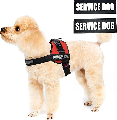 Miniatura 7 de ALBCORP - Arnés-chaleco reflectante para perro de servicio, hecho de poliéster y nailon, cómodo acolchado de malla, color rojo y negro