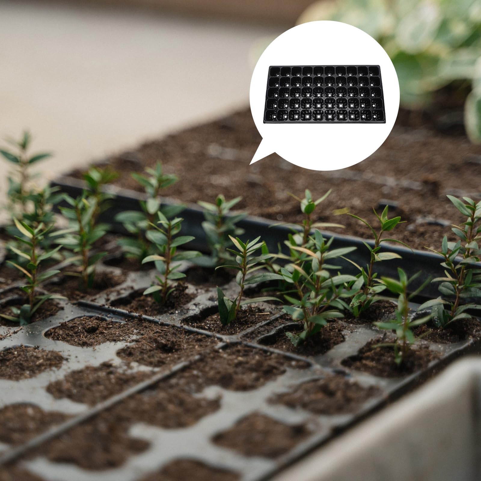 Placas de Germinación Engrosadas 10 Piezas 50 Agujeros Resistentes Sequía para Cultivo de Hortalizas en Invernadero