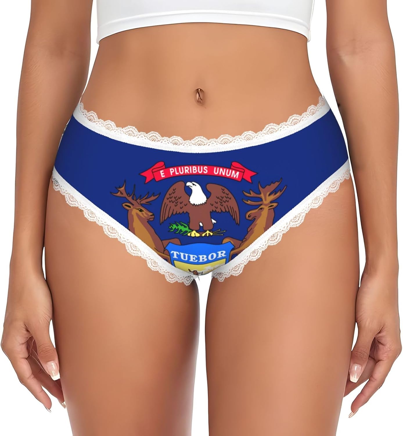 Michigan State Flag Print Lady'S Lace Underwear