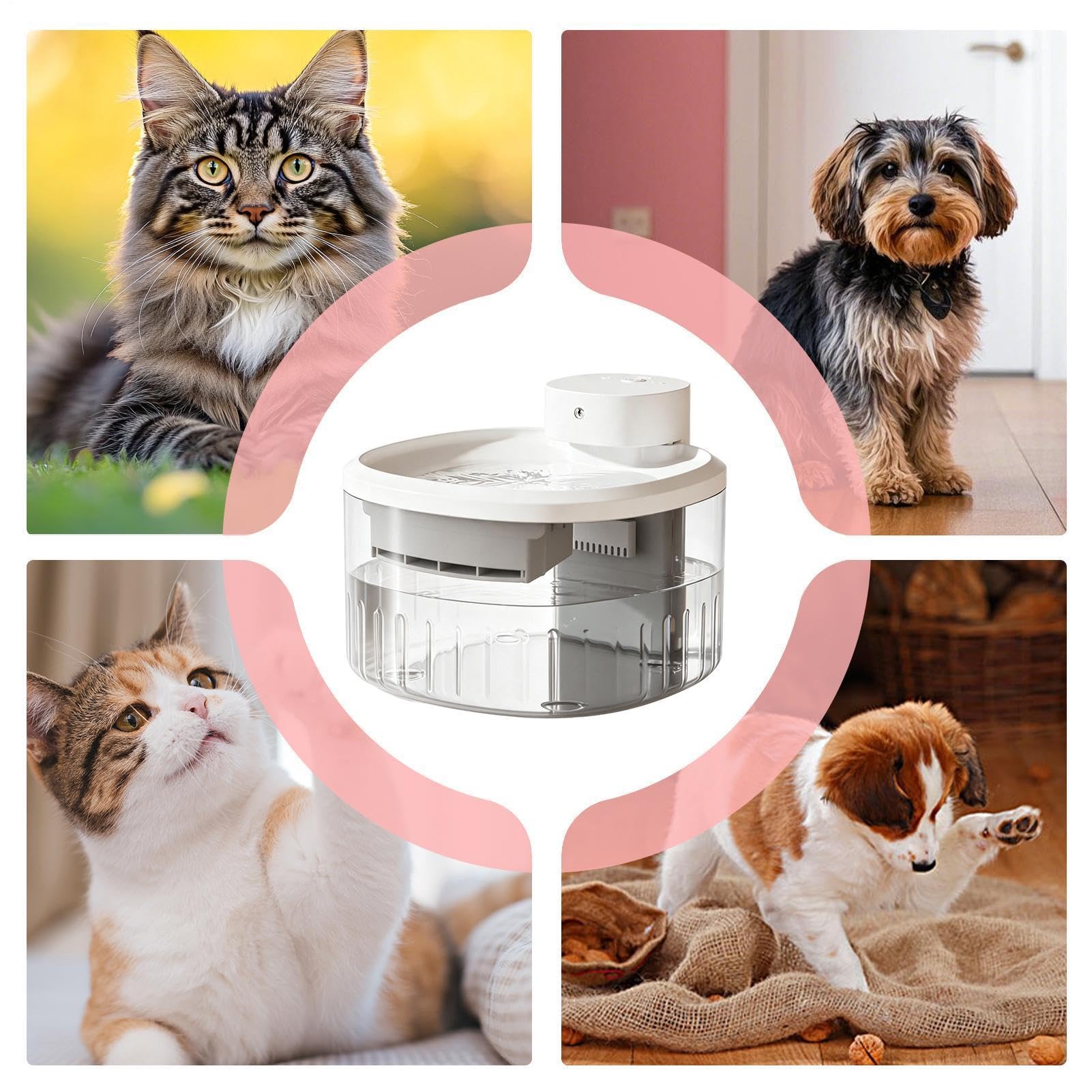 Fuente para gatos Recargable con Activación por Movimiento y 9 Filtros | Dispensador Fuente Agua Gatos para Razas Pequeñas Medianas Grandes Salón Dormitorio Balcón