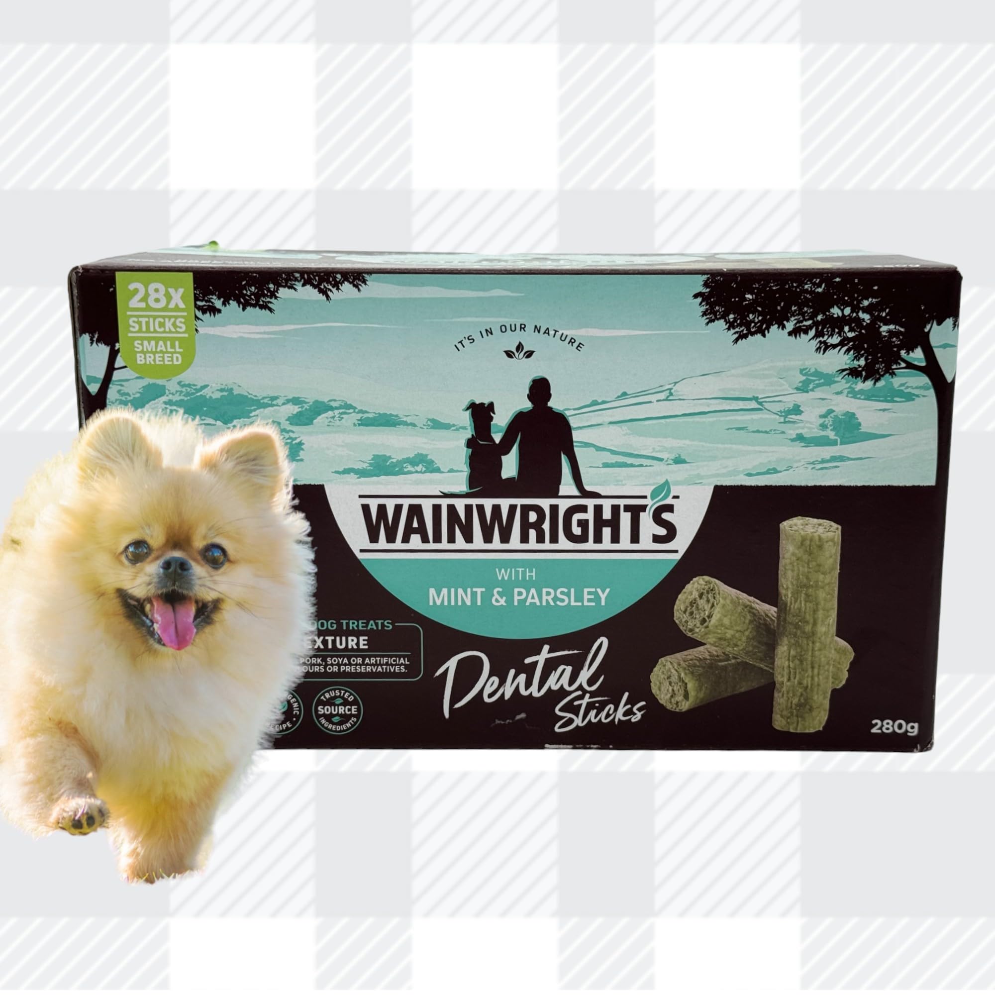 AETN Creations Bundle of Dental Sticks for Small Breed Dogs in Mint and Parsley 1x28 (280g) Sticks to Support Oral Health - Image 2