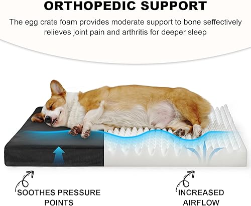 Miniatura 2 de Cama indestructible para mascotas, almohadilla de espuma viscoelástica para perros y gatos pequeños, cama de tela Oxford impermeable y duradera con