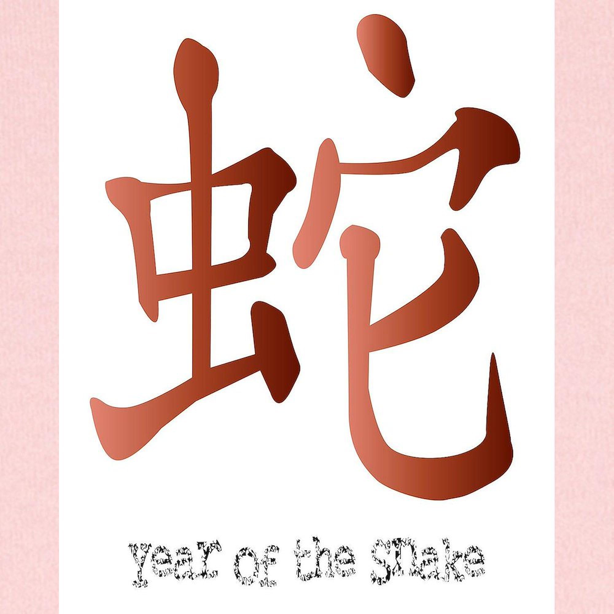 CafePress Year of The Snake Baby Blanket, Super Soft Newborn Swaddle