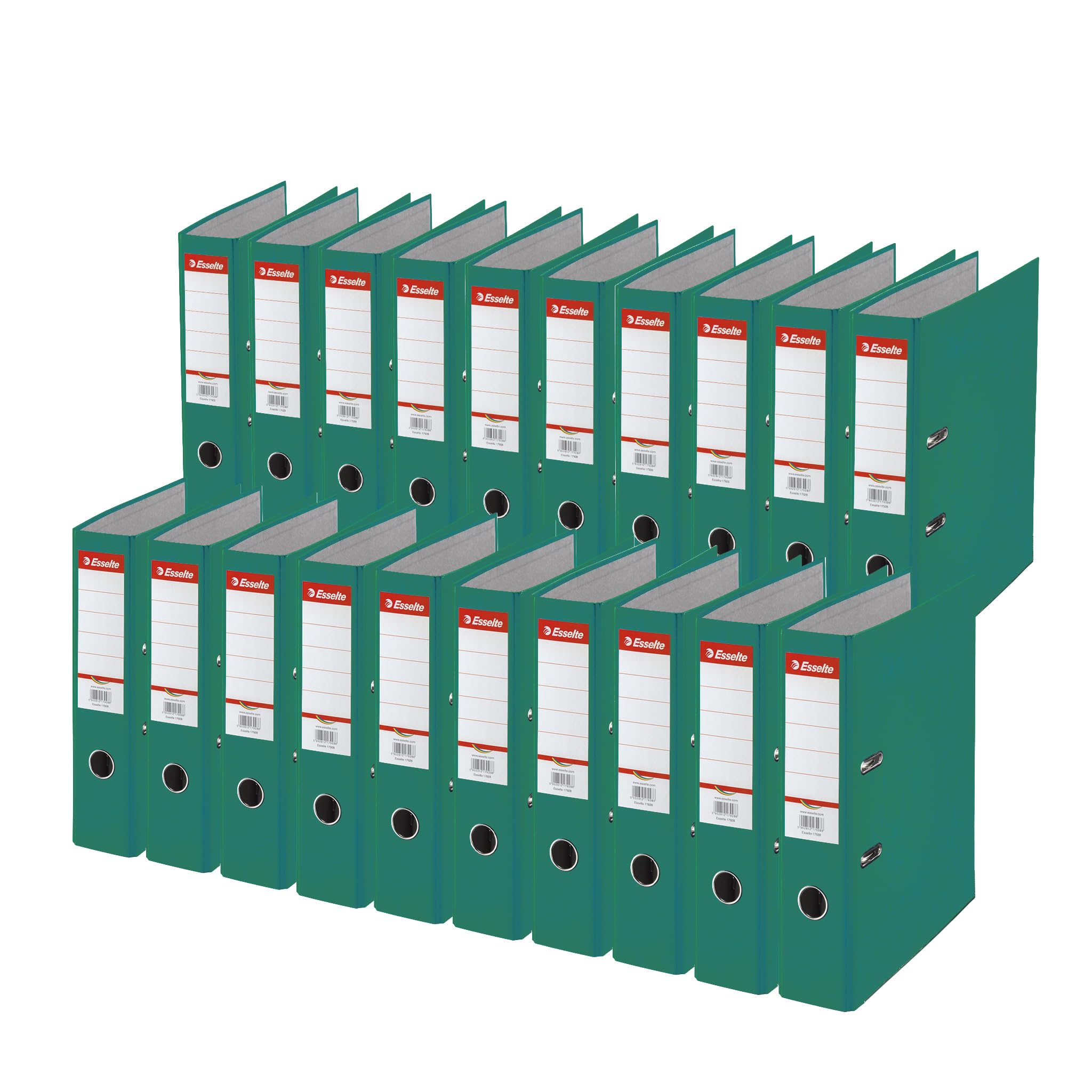 Esselte Rainbow 17927 - Raccoglitore a leva, dorso 75 mm, formato A4, 20 pezzi, colore: verde