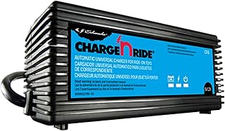 Schumacher Electric Charge 'N Ride 6V / 12V Battery Charger for Ride on Toys - 3-Amp Fast Charge - Compatibile with Major Ride-on-Toy Brands - Comes with 5 Different Connectors, CR9