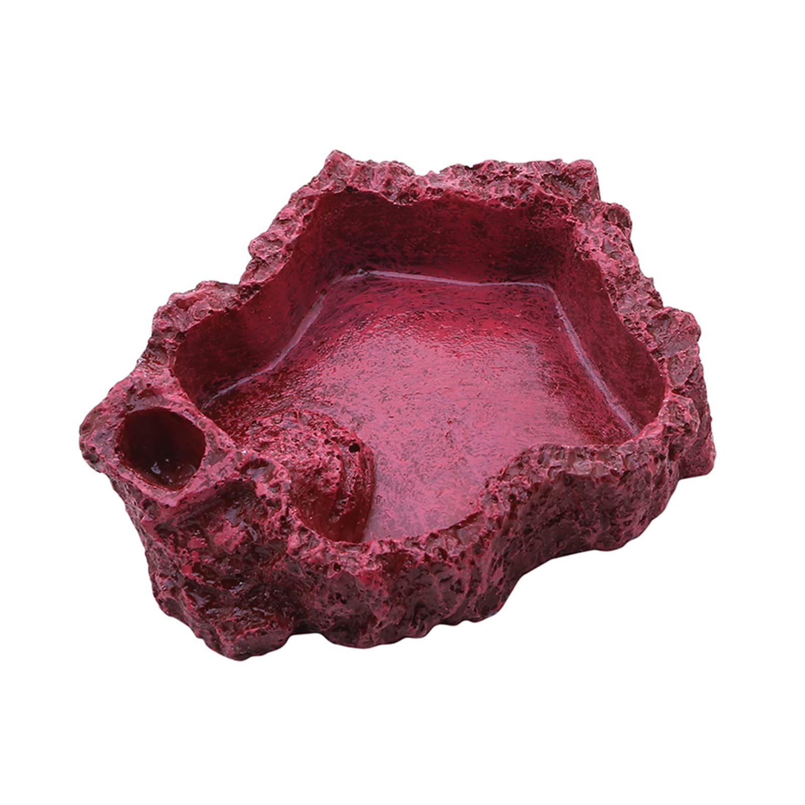 Serbatoio di tartaruga Scatola di alimentazione rettile ciotola di alimentazione for animali domestici pentola resina cibo bottiglia d'acqua rettile lucertola granchio forniture for animali domestici