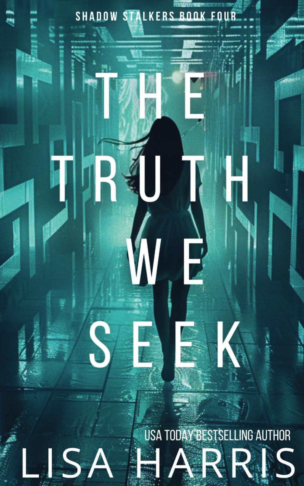 The Truth We Seek: A page-turning thriller with a final revelation you won’t see coming. (Shadow Stalkers Book 4)