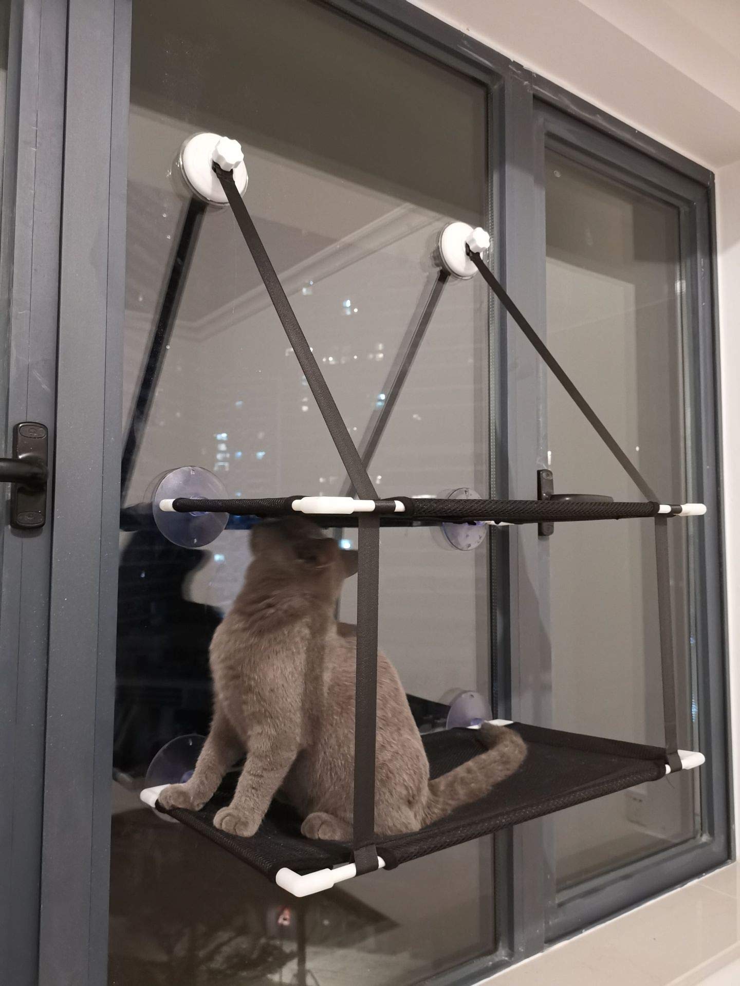 Amaca per Gatti a Doppio Strato con Installazione Sospesa, Forte Ventosa, Morbido Sedile di Riposo per Finestra per Gatti per Balcone e Altro Ancora (Black)