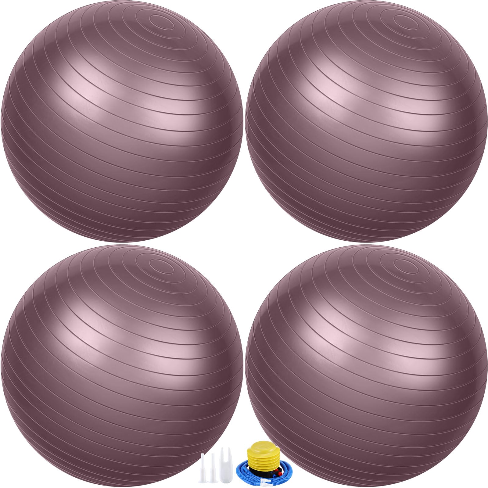 Leyndo 4 Pcs 26 Inch Yoga Exercise Ball Pilates