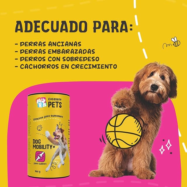Foto 5 de 6 de EXCELLENT Suministros Para El Cuidado De La Salud Dog Mobility Plus