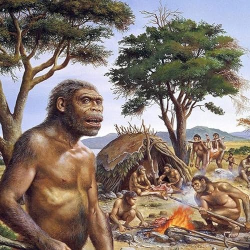 #754 - Dai primi ominidi ai Neanderthal: le vostre domande al dott. Berruti