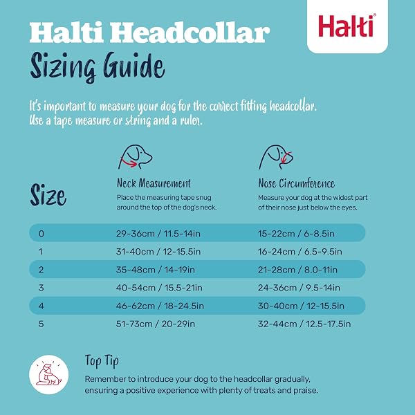 Halti Headcollar - Stop Your Dog Pulling on the Leash. Adjustable, Reflective and Lightweight, with Padded Nose Band. Dog Training Anti-Pull Collar for Small Dogs (Size 0, Black) Black 0 - 4