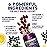 Immune Support Gummies - Sambucus Elderberry Gummy with Elder Berry Extract, Zinc & Vitamin C, Natural Vegan Immune Support Supplement for Adults & Children, Gummy Elderberry Vitamins - 120 Gummies