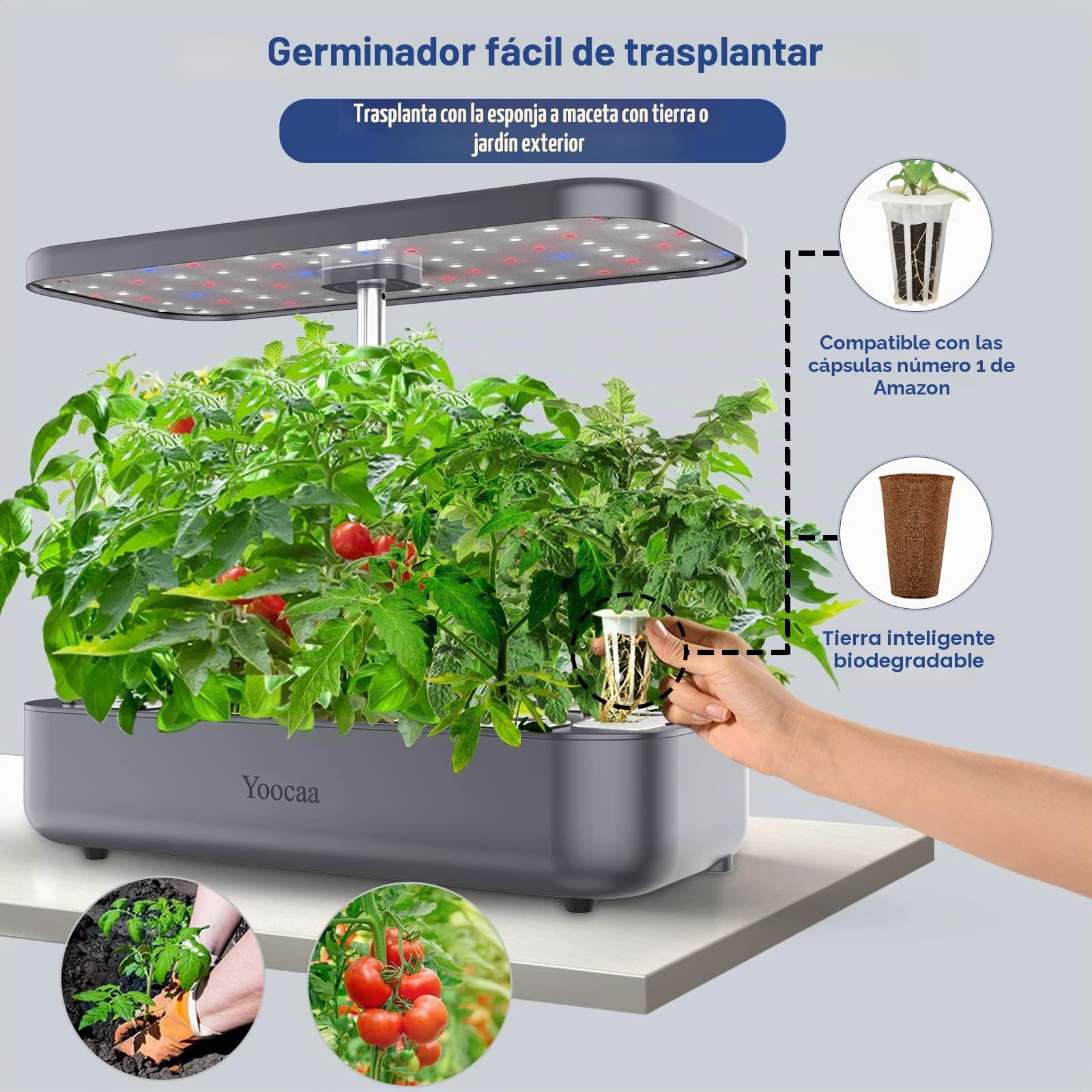 Indoor Cultivo Hidroponico Interior - Sistema de Cultivo Hidropónico 12 Plantas con Altura Regulable, luz LED de Crecimiento automática (Gris)