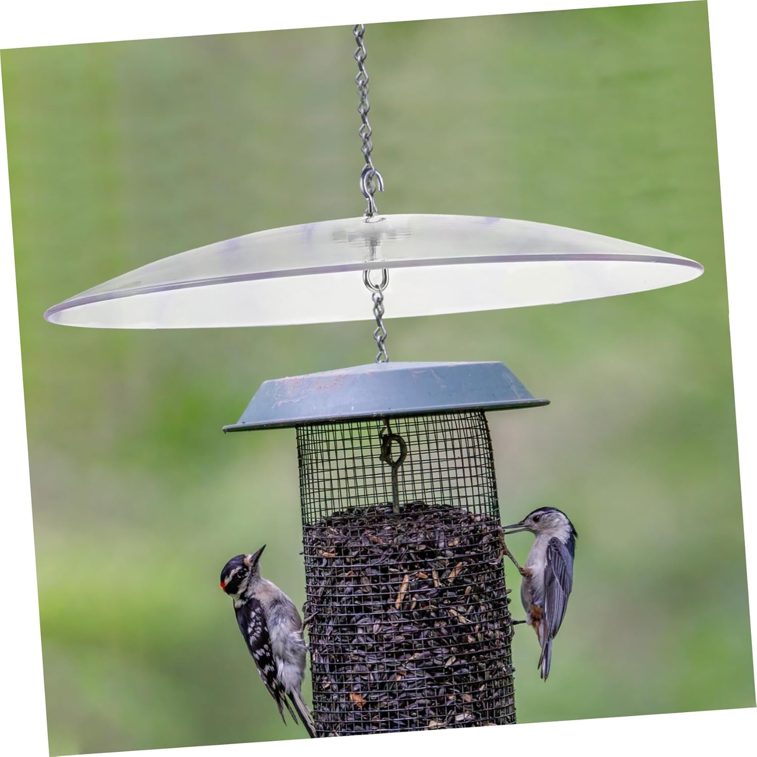 VANZACK Squirrel Dome Bird Feeder Protective Cover Transparent Hanging Design for Weather Protection for Outdoor Gardens Patios and Backyards Durable and Sturdy