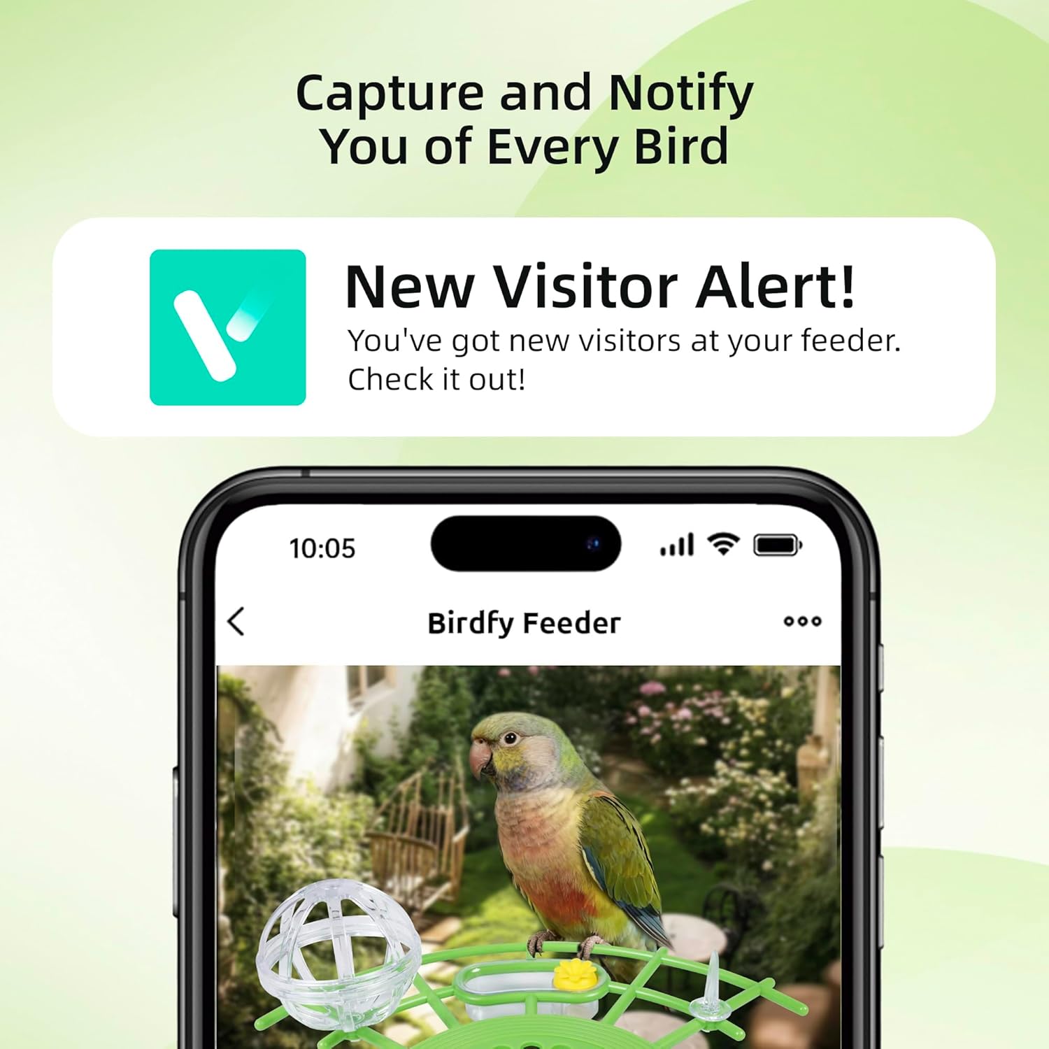 Bird Feeder with Camera,AI Identify Birds Species,Solar Powered,Auto Record Videos in Backyard,Instant Notifications,Ideal Gift for Family and Bird Lovers (Green)