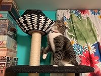 Review Image by Amaluna Amaluna