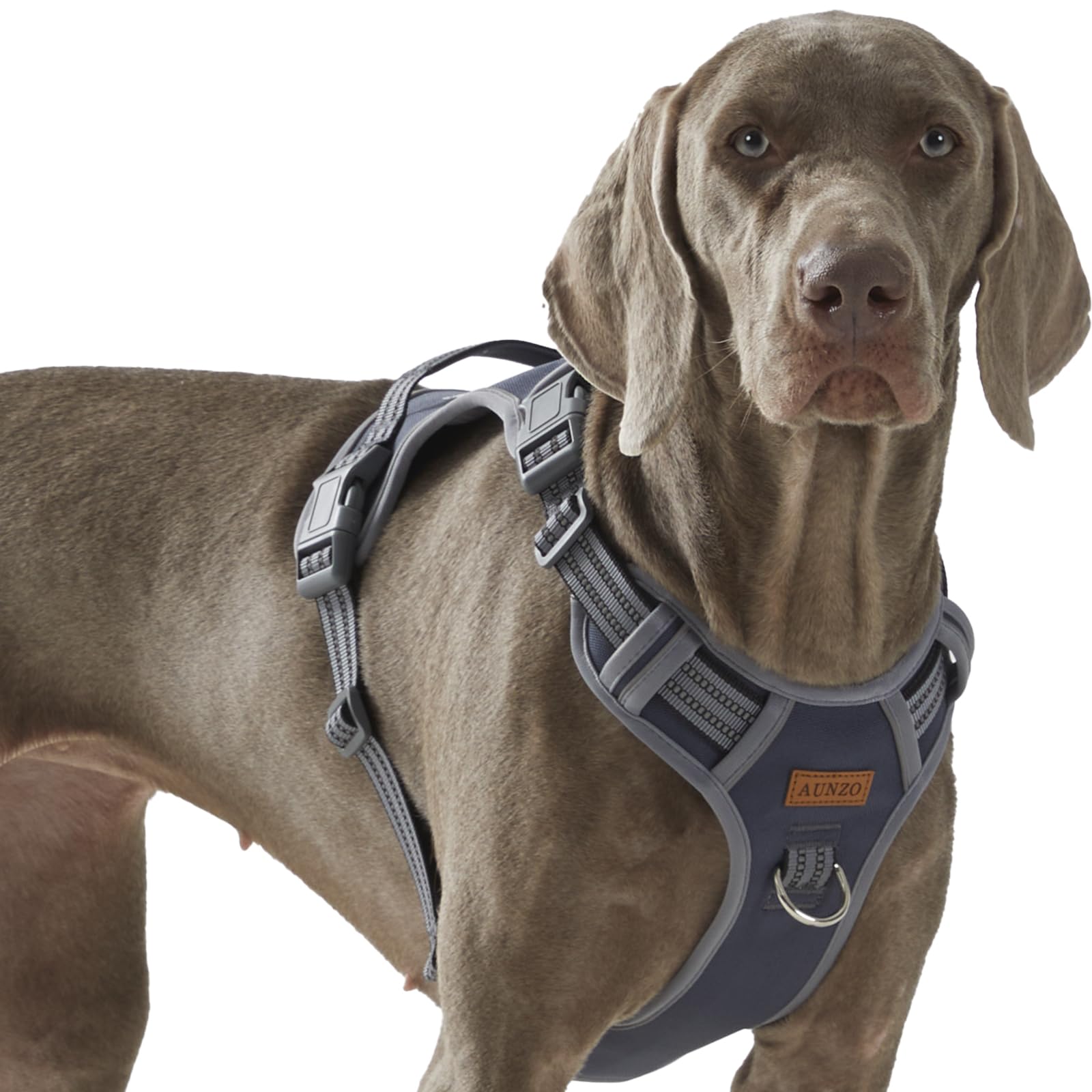 AUNZO Dog Harness X-Large