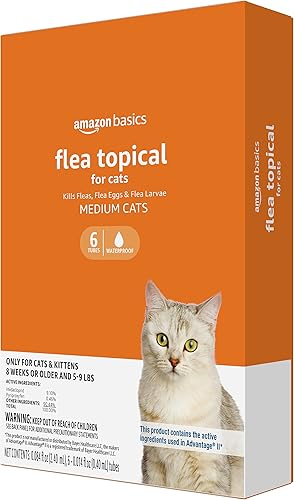 Tienda Basics Tratamiento tópico preventivo contra pulgas para gatos medianos (5-9 libras), 6 unidades