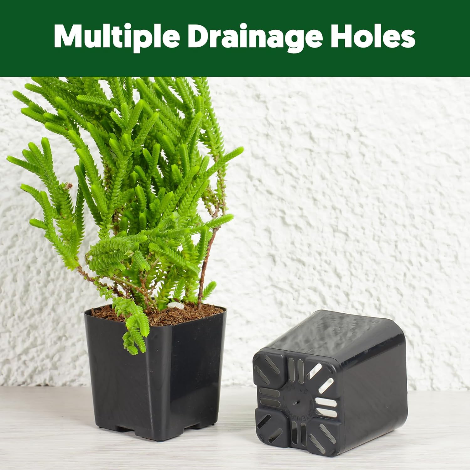 2-inch Black Square Nursery Pots, 350 PCs, Mini Plastic Plant Flower Pots with Multiple Drainage Holes for Succulents, Cactus, Herbs, Vegetables, Indoor Outdoor Use