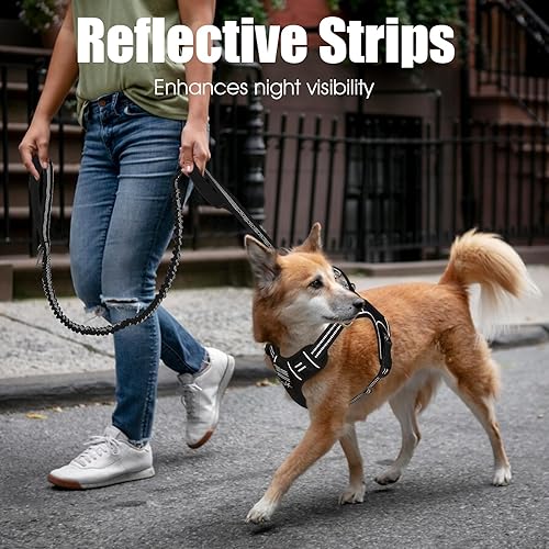 Miniatura 3 de BUMBIN Correa elástica de 6 pies con 2 asas para perros grandes, medianos y pequeños, resistente, sin tirones, absorción de golpes con cinturón de