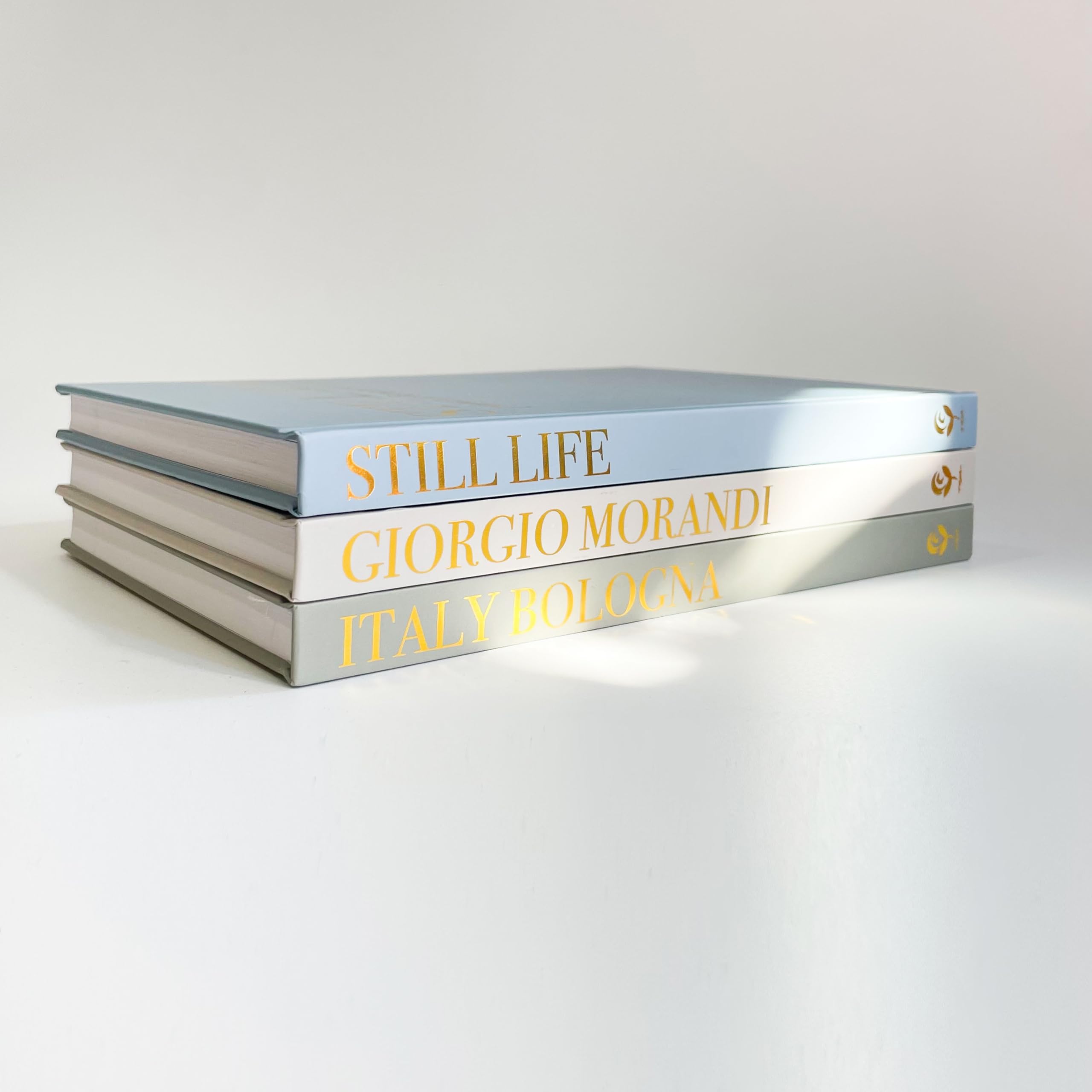HUAERLSP Beautiful Decorative Books - Set of 3 to Enhance Your Bookshelf, Coffe Table or Mantle Decor - Stylish Fake/Faux Books for Modern Home Decoration.Coastal、Beach House Decor.