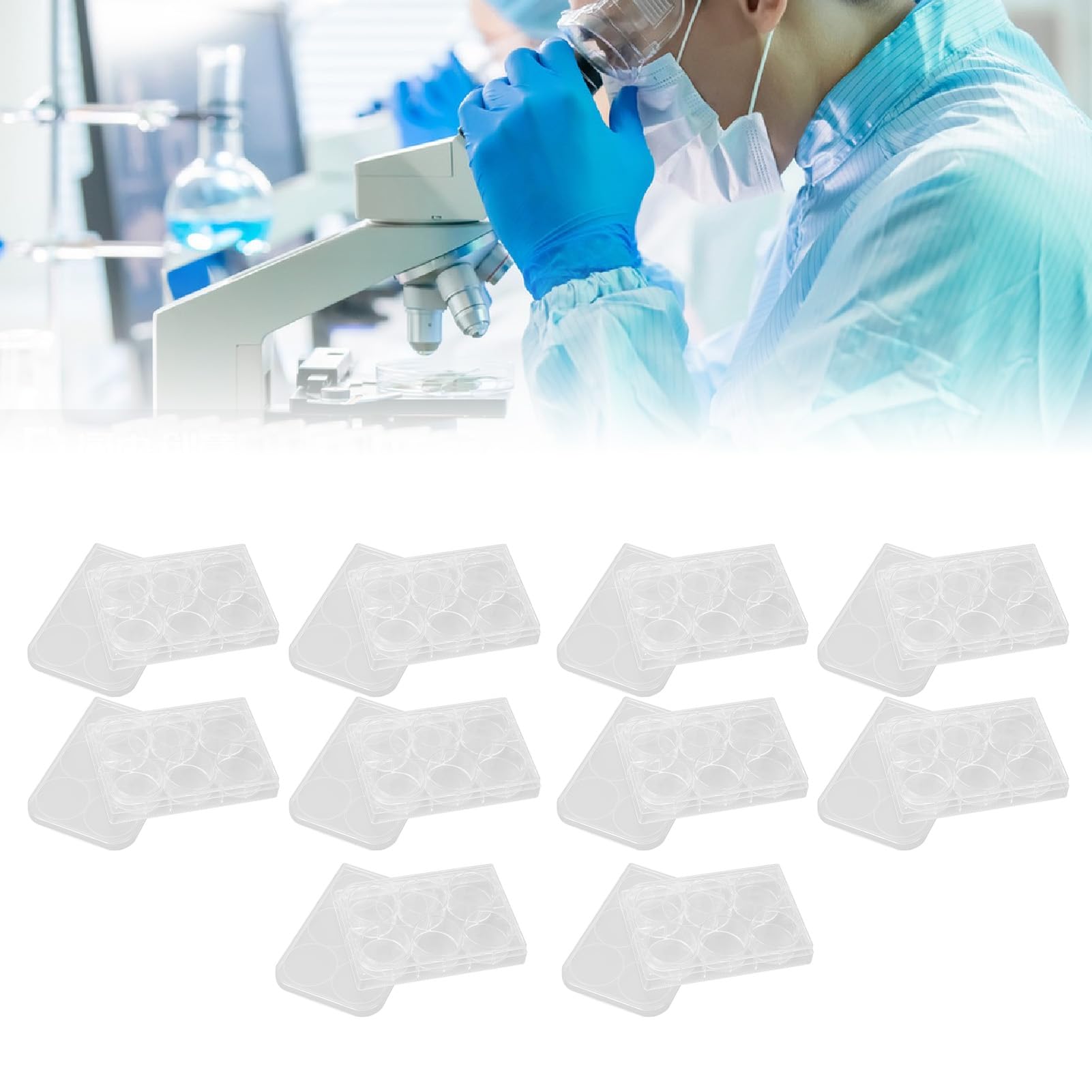 Piastra per coltura da 10 pezzi, Piastra per coltura trasparente Piastre per agar Piastra per coltura cellulare con coperchio per sala di biologia di laboratorio (6 Holes)