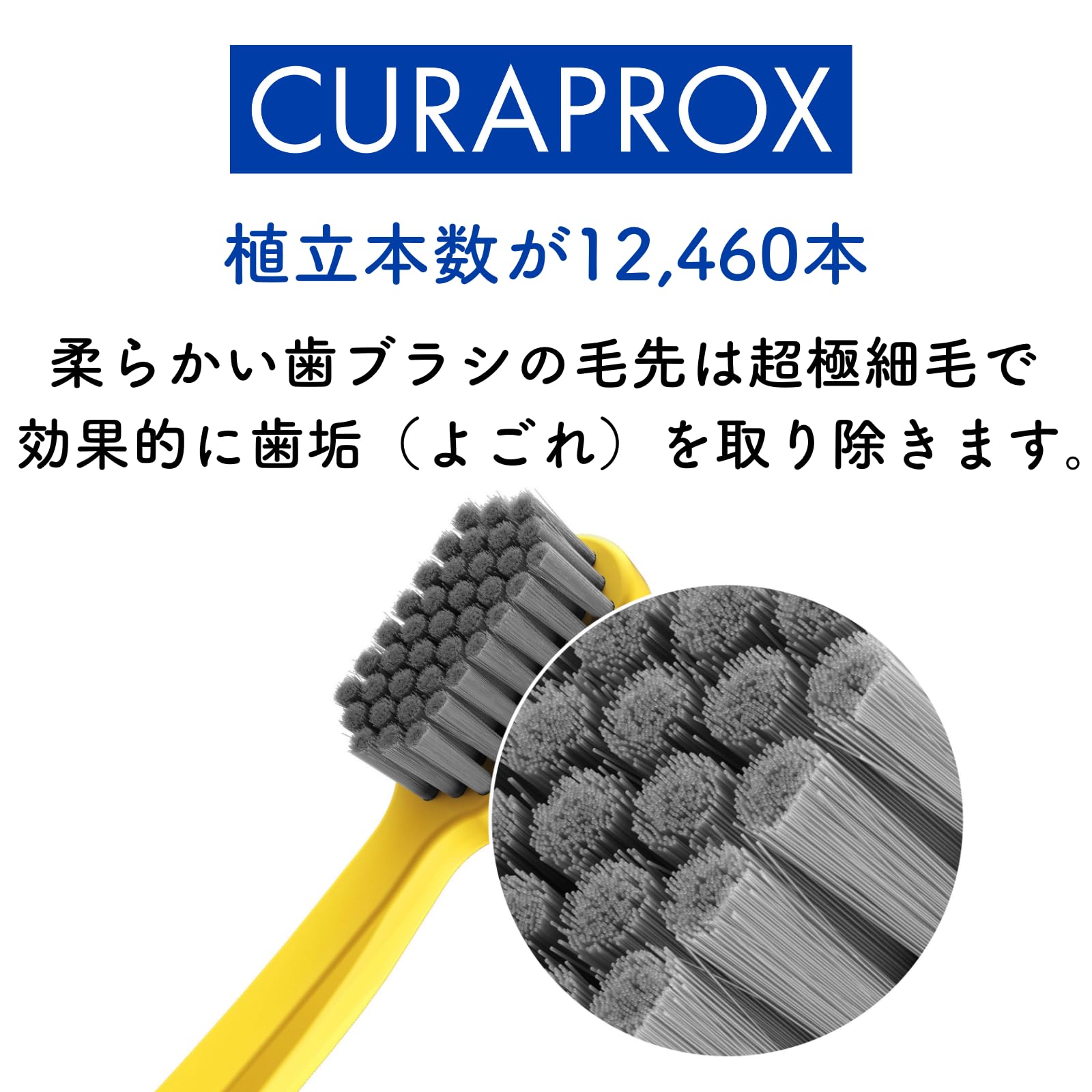 Amazon.co.jp: クラプロックス（CURAPROX）歯ブラシ CS12460