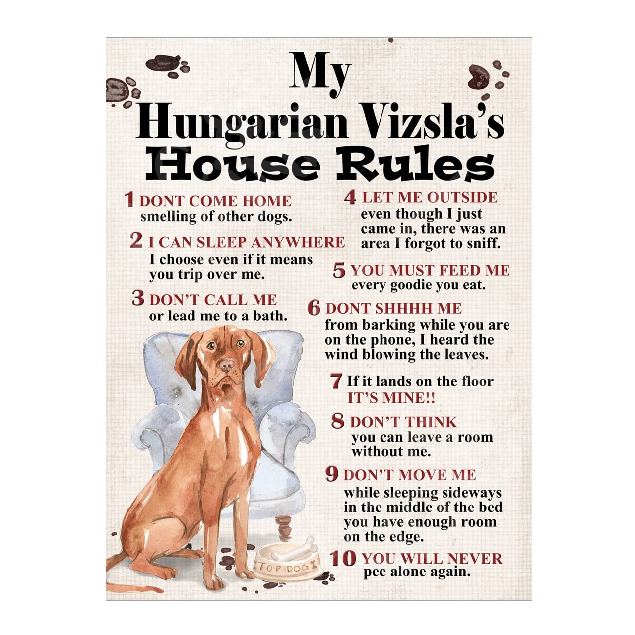 Metal Tin Sign Dog Plaque Dog's House Rules Garden Bar Home Decor Garage Man Cave Poster Pet Gift Dog Lovers (Hungarian Vizsla 10x8 Ref8260) — image 1