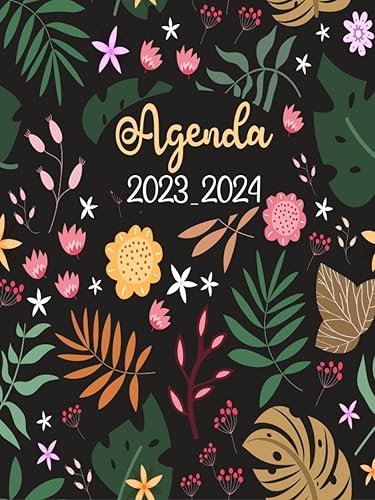 Agenda Semainier 2023-2024 Agenda Semainier 24 Mois 2023-2024, Planificateur hebdomadaire grand format A4, 2 Pages Par Semaine, Jolie Couverture.