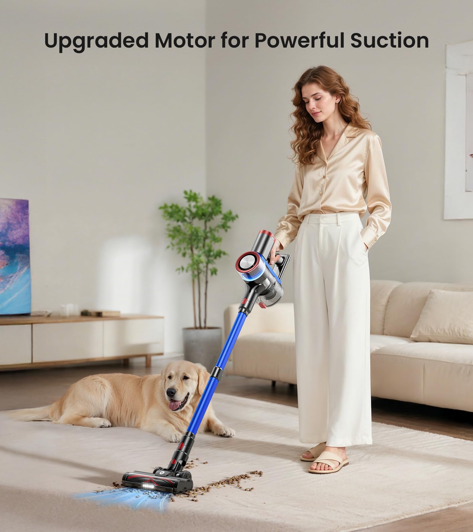 https://m.media-amazon.com/images/I/71Z0sR9ZafL.jpg