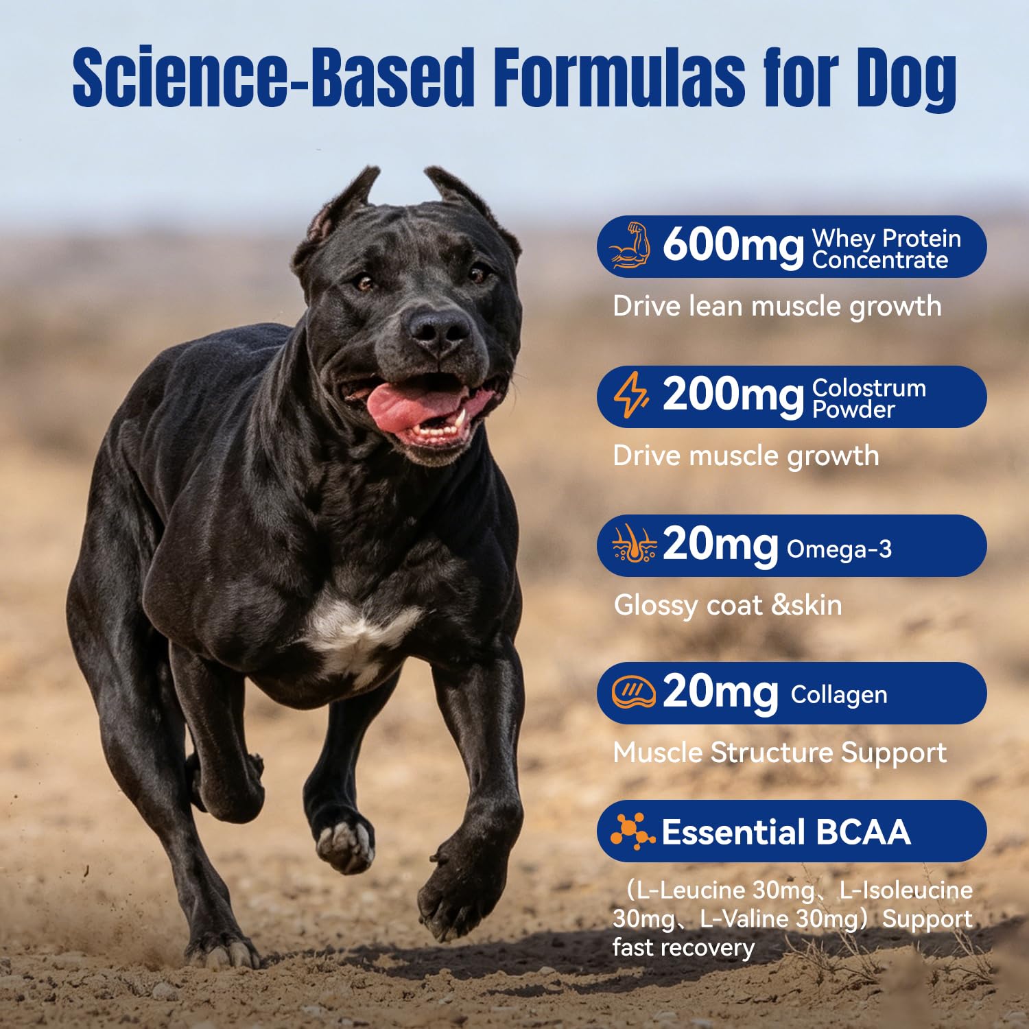 Muscle Gain Chews for Dogs, Weight Gain Supplement with Whey Protein & BCAA Amino Acids for Lean Muscle Support, Strength & Daily Vitality, Vitamins for Active & Bully Breeds, Bacon Flavor, 110 Count — Amazon image 3
