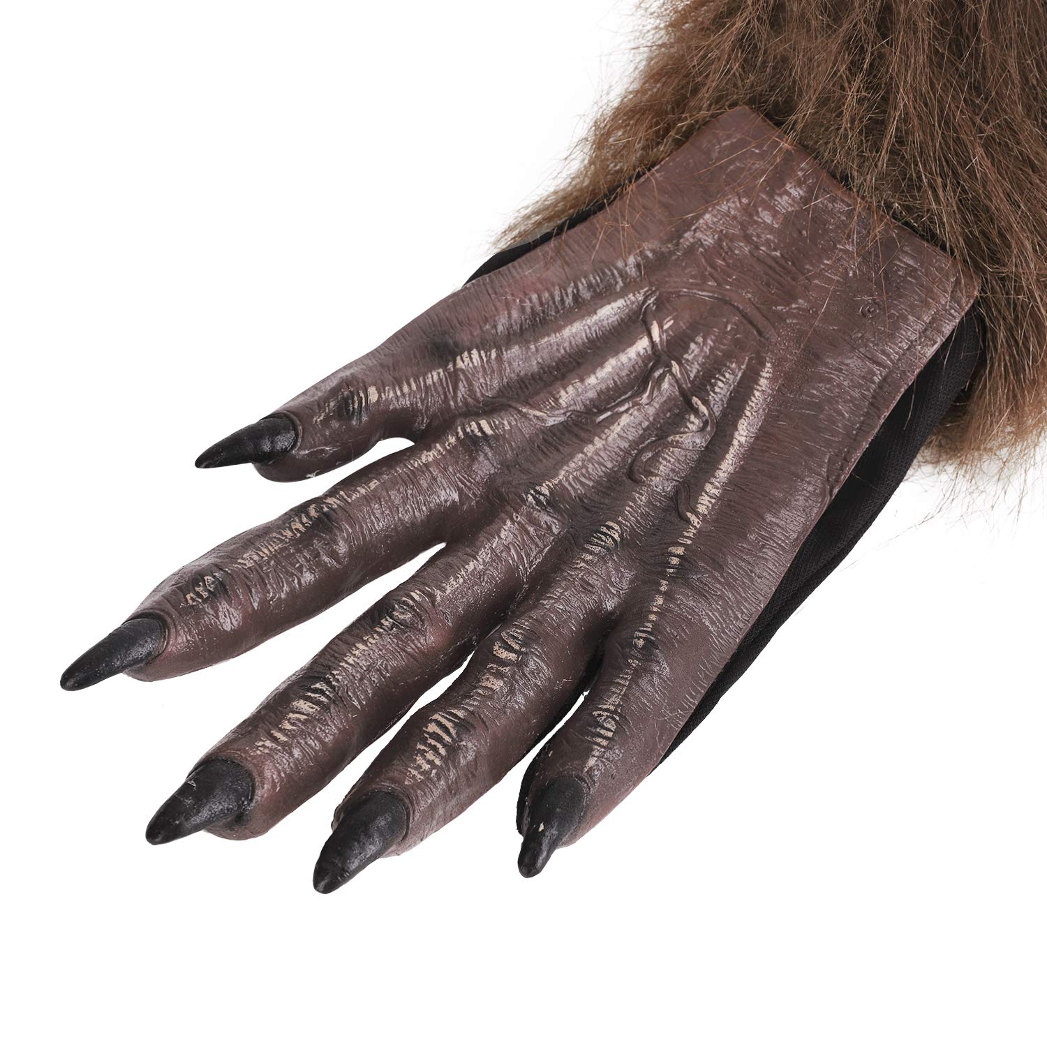 View 5
