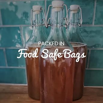 Organic Kombucha Scoby 2 Litre