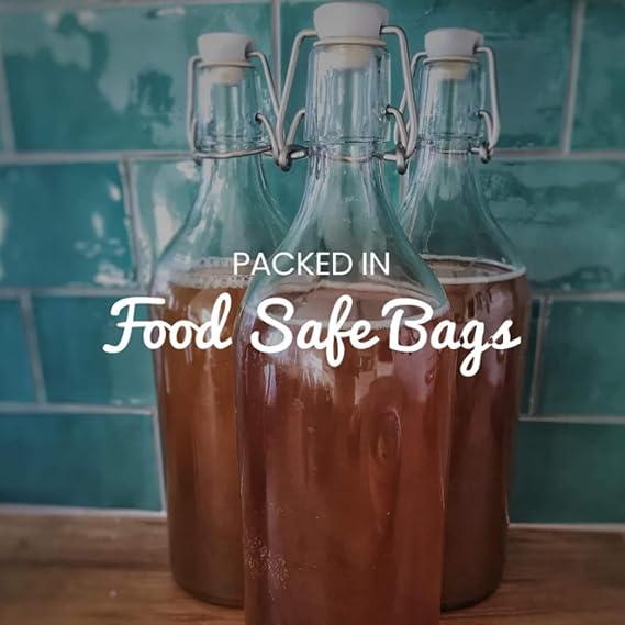 Organic Kombucha Scoby 2 Litre