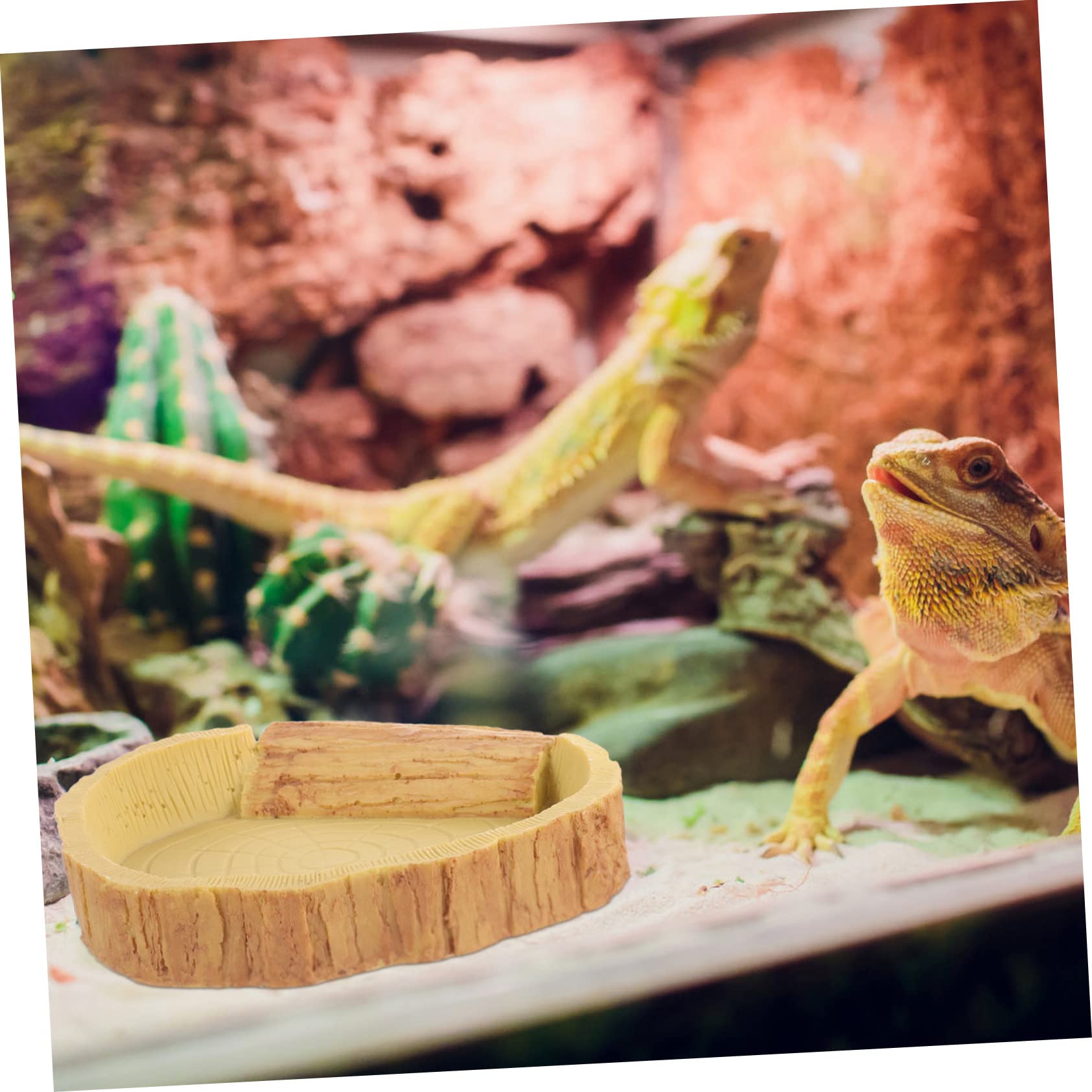 Toyvian Ciotola per Rettili in Resina, Arancione, Facile da Pulire, per Cibo e Acqua nel Terrario, Accessorio per Rettili e Tartarughe