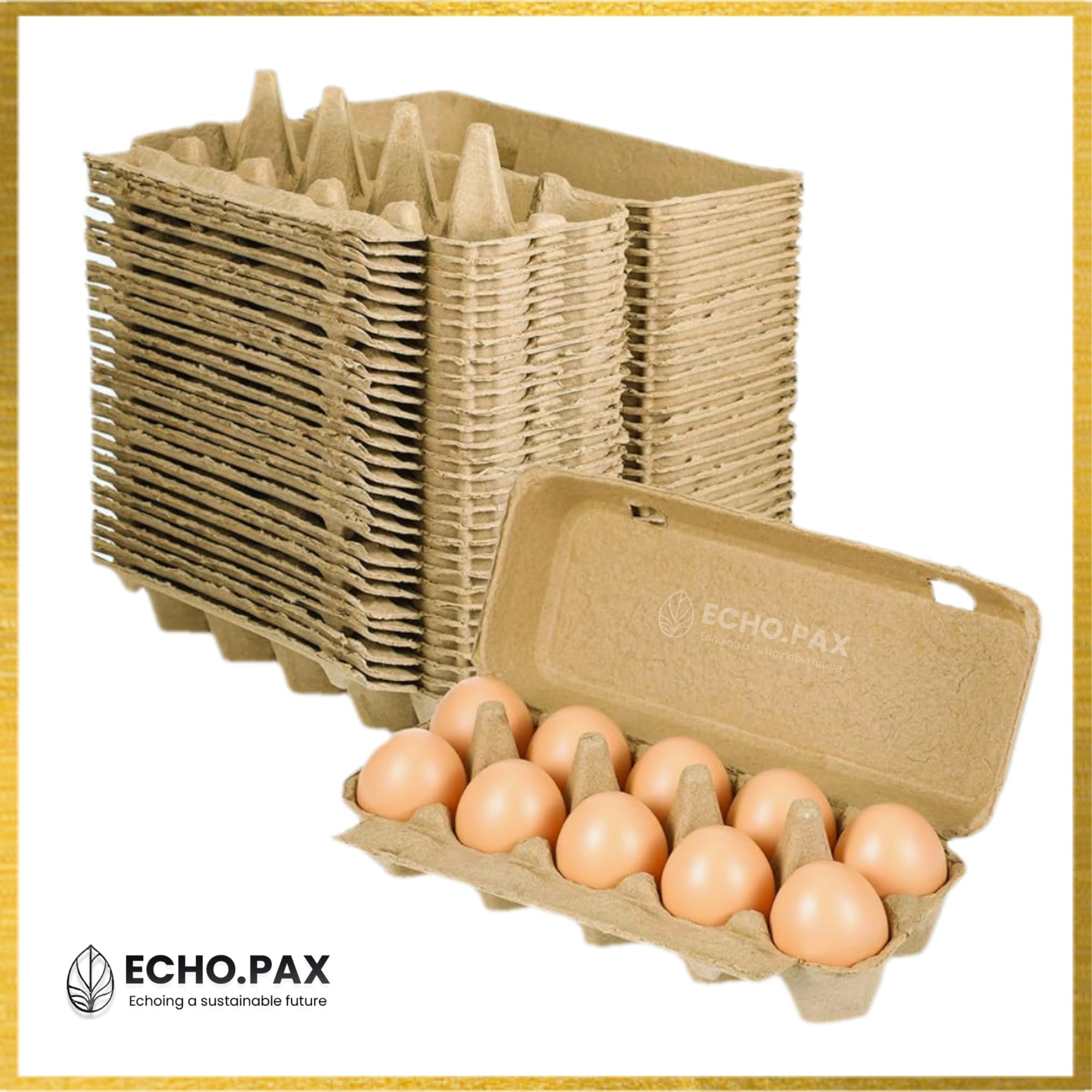 egg2007年10冊セット ECHO.PAX 10 Egg Box with Lock | Paper Pulp Moulded Egg Carton