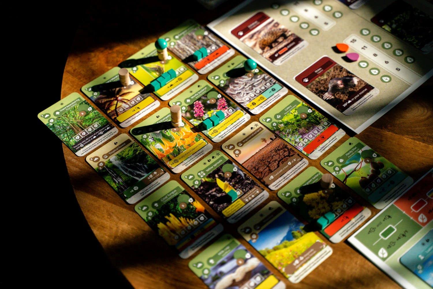 Skellig Games SKE48016 Earth