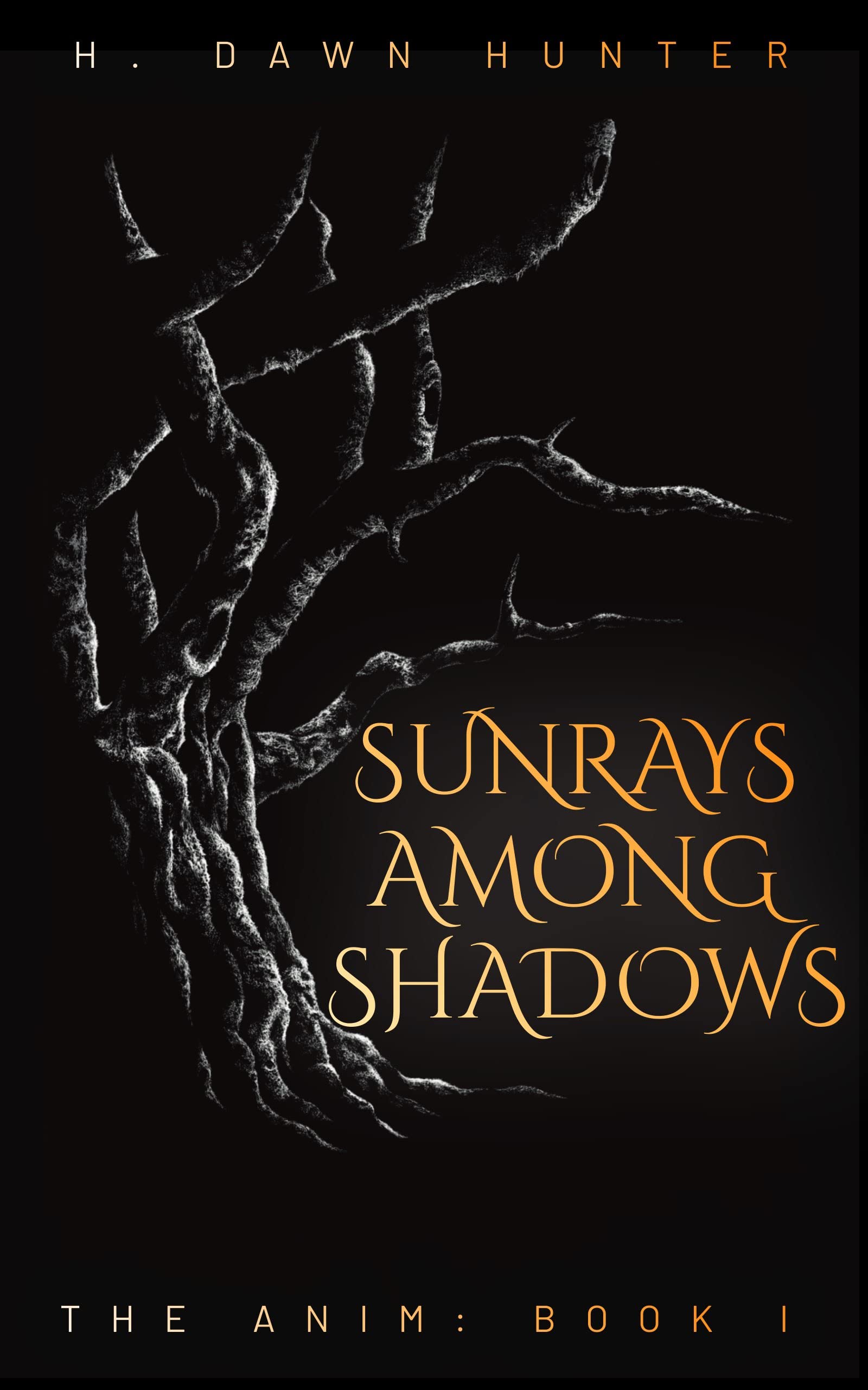 Book review of Sunrays Among Shadows - Readers' Favorite: Book Reviews ...